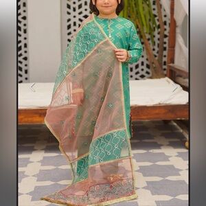 Elegant Green and Pink Kids Dress